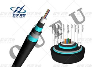 Gyxtw53 2-24 កម្រិត DJDA រង្វង់ ដៃ ខាង ក្រៅ ដុំ ខាងក្រៅ